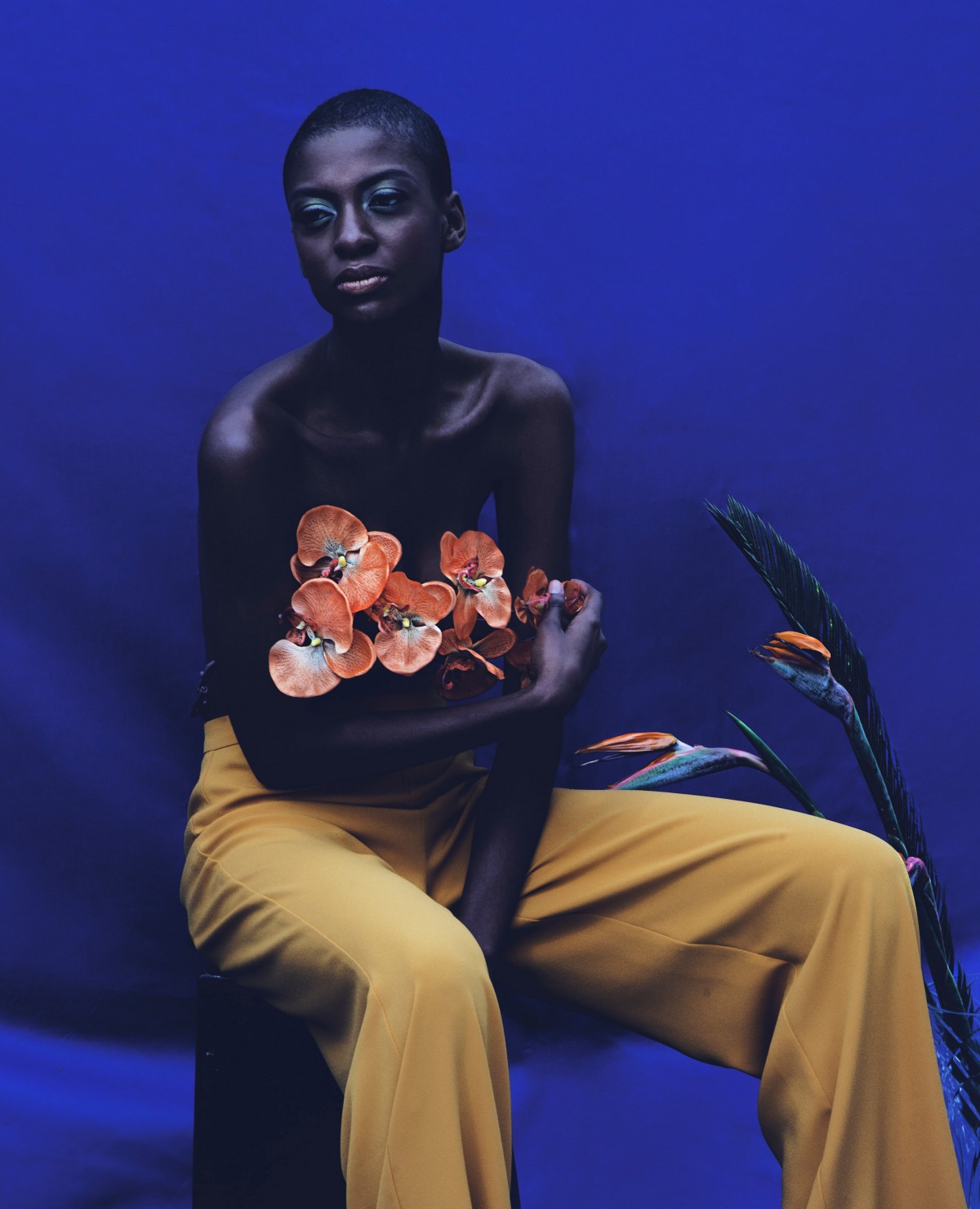 France Showcase issue 955 cover by: Miguel Peña, rep. by Murasaki Agency